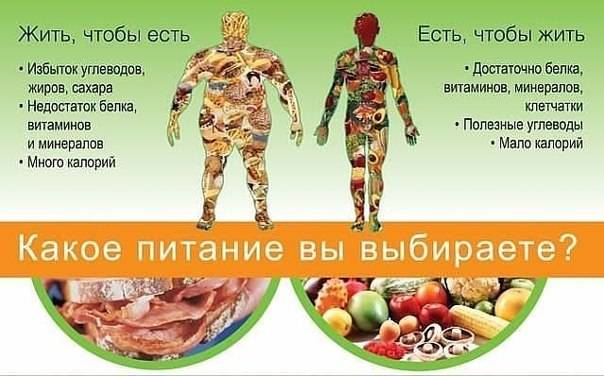 Основные принципы здорового питания и его польза для здоровья