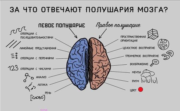 Тренировка мозга
