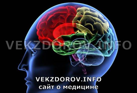 Вентрикуломегалия: виды, причины, симптомы и лечение