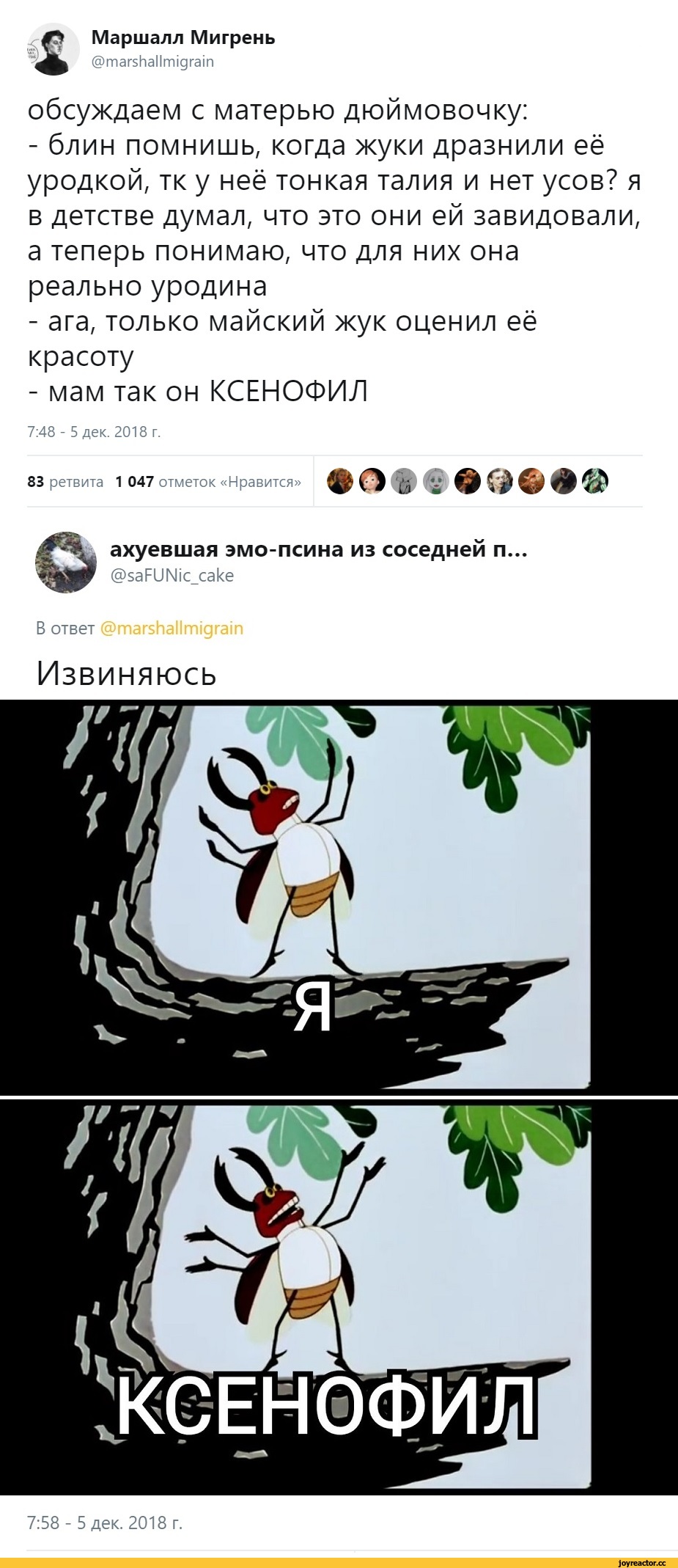 Ксенофобия