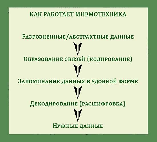 Мнемотехнические приемы запоминания. использование мнемотехнических приемов запоминания в логопедической работе. консультация по логопедии на тему