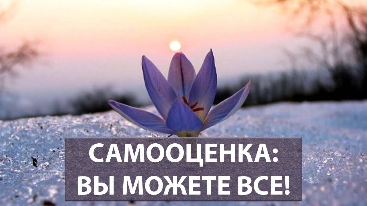 Самооценка – что это такое: понятие, структура, виды и уровни. коррекция самооценки