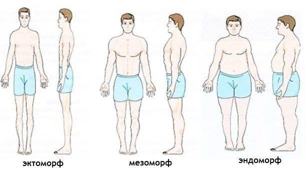 Как узнать свой тип телосложения?
