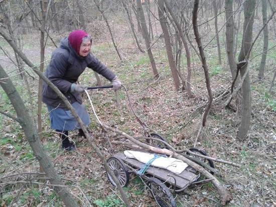 Что значит рубить дрова