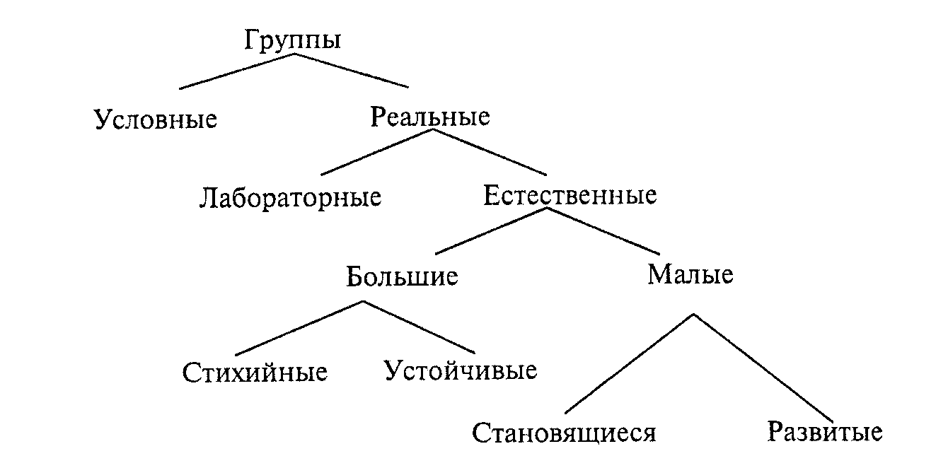 Схема социальных групп