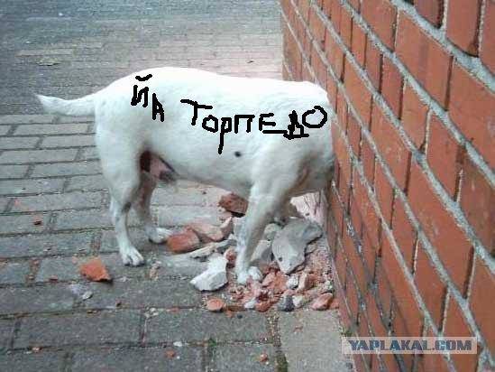 Психология: крыша дома - бесплатные статьи по психологии в доме солнца