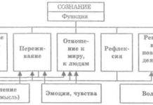 Виды общения в психологии: классификация, характеристика