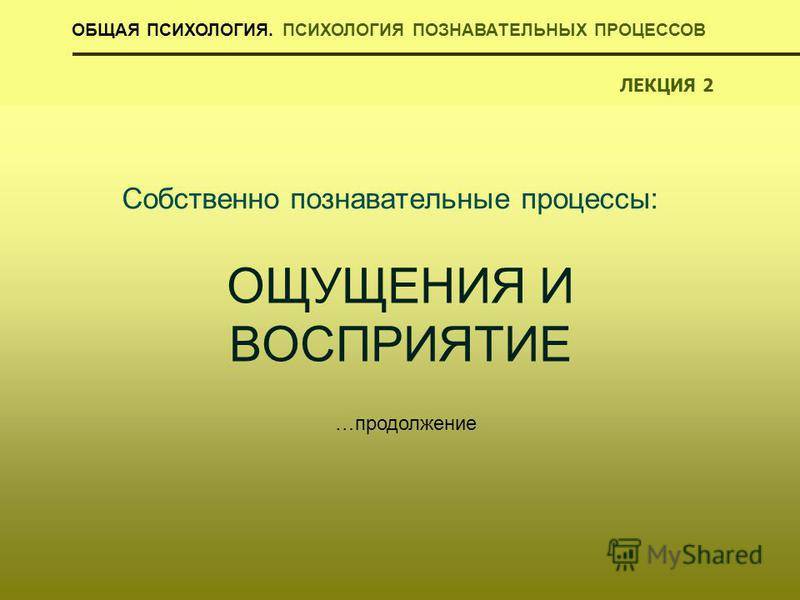 Восприятие — что это такое в психологии